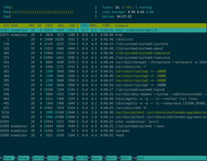 htop lists processes and sorts by consumption