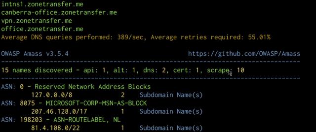 amass-subdomain-enumeration-output.png